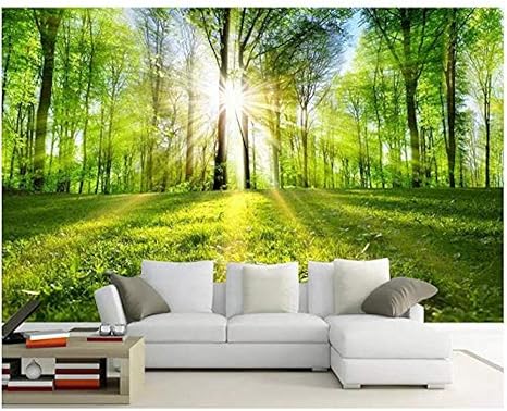 Amazon Djskhf 壁紙壁画人里離れた森林風景画木並木道日光森テレビソファ背景壁3d壁紙 1x60cm 壁紙