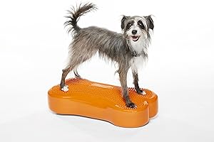 FitPaws® K9FITbone® - Regular, Orange | Dog Balance Training Platform & Exercise Equipment | Workout Tool for Strength, Core & Stability