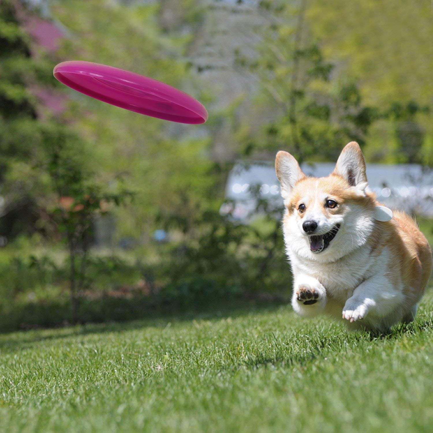 Amazoncom Liberty Imports Plastic Flying Disk Set For Outdoors