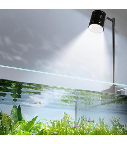 Aspect Fish Light Mini Aquarium Spotlight Fish Tank Light Planted Aquarium Light | 360 ...