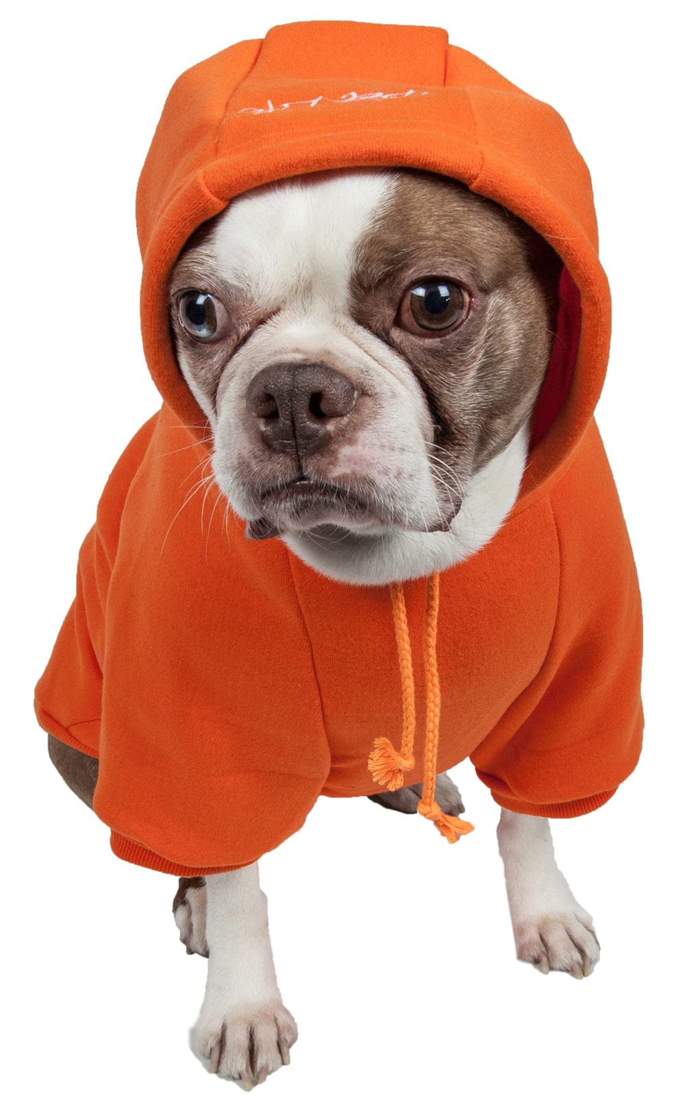 Pet Life Fashion Ultra-Soft Cotton Pet Dog Hooded Sweater, Medium, Fresh Orange