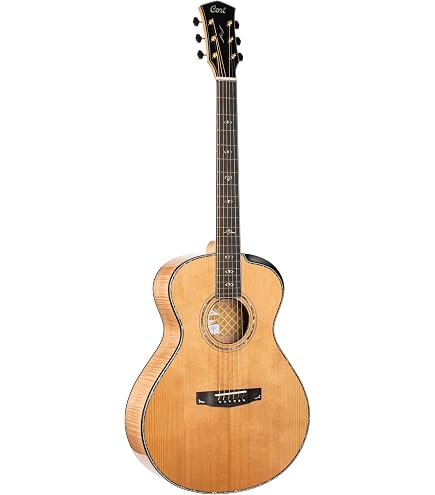 Amazon.com: Cort GOLDA10 Gold A10 Cocobolo Acoustic-Electric