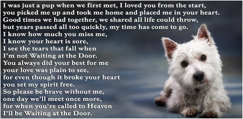 westie slippers amazon