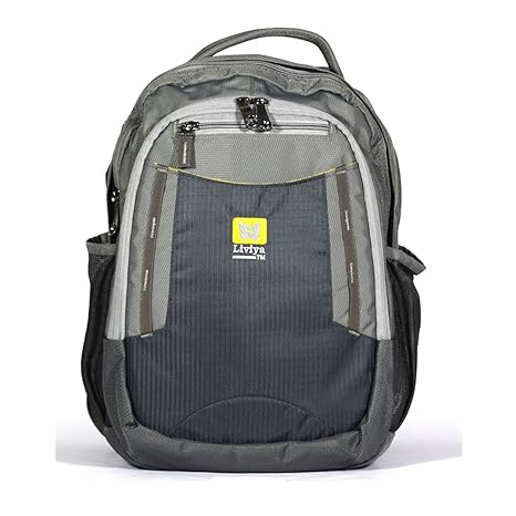 liviya bags amazon