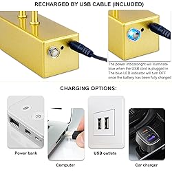 RAIFOOLLY Picture Light,16in Wireless Battery Wall