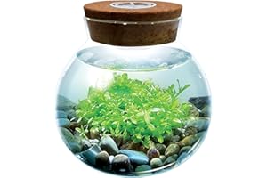 UNIQUE GARDENER WaterPlants- Create Your Own Lush and Soothing Aquasacape Terrarium Starter Kit, Indoor Plant Glass Globe Terrariums with Powerful 3 LED Light and Complete Supplies, Just Add Water!