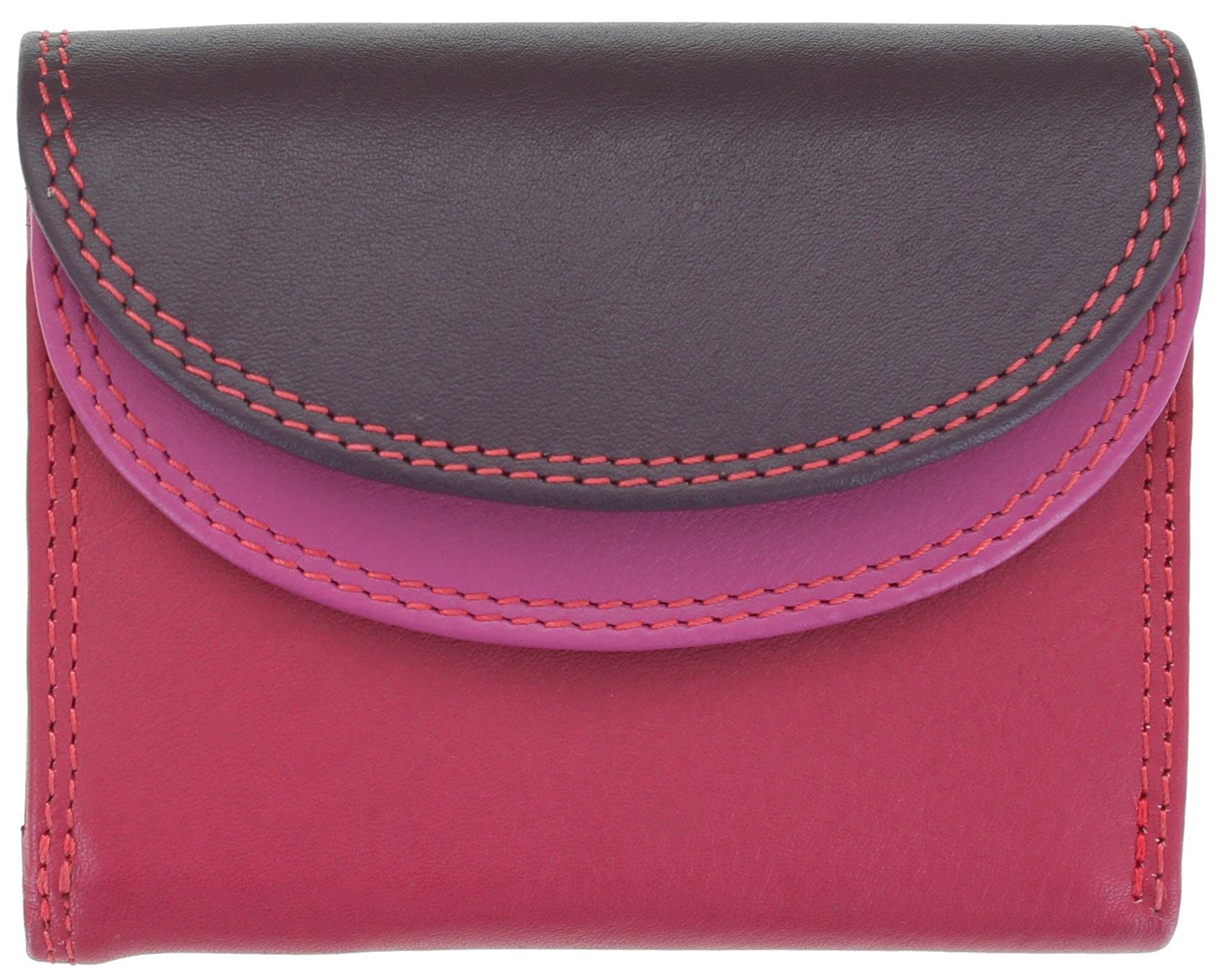 Visconti Rainbow Collection Small Leather Purse RFID and Tap and Go RB126 Plum Multi