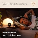 Lumie Bodyclock Rise 100 LED Light Alarm Clock Sunrise Sunset White NBCKE-2000 view 4