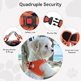 Joytale Step in Dog Harness Soft Mesh Reflective Breathable Easy Walk S Orange view 6