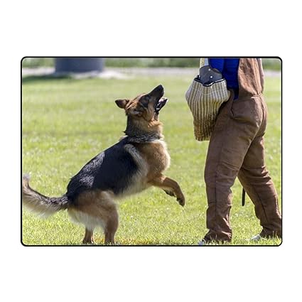 Kslids Entrance Mat German Shepherd Doormat Decorative Welcome Mats For Front Door Rug Non Slip