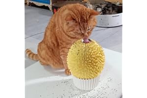 Miwoowim Catnip Feeder and Self Grooming Toys - Cat Face Scratcher, Wall Corner Massage Comb for Indoor Cats (yellow)