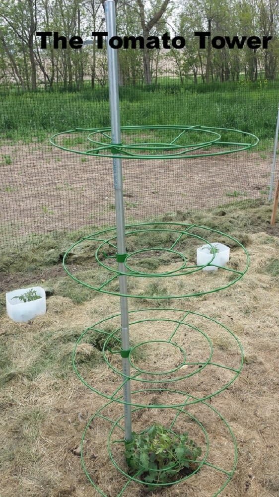 Tomato Cage Tower Heavy Duty Garden Plant Support System