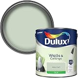 Dulux Silk Emulsion Paint For Walls And Ceilings Willow Tree 2.5L