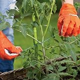 D.A.Y. Republic 200M Garden Twine Polypropylene String Rope Green Weatherproof view 4