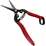 TABOR TOOLS K-7 Straight Blade Pruning Shears, Sharp Florist Multi-Tasking Garden Scissors, Small Hand Pruner for Arranging Flowers, Trimming Plants (Carbon Steel Blades, One Size)