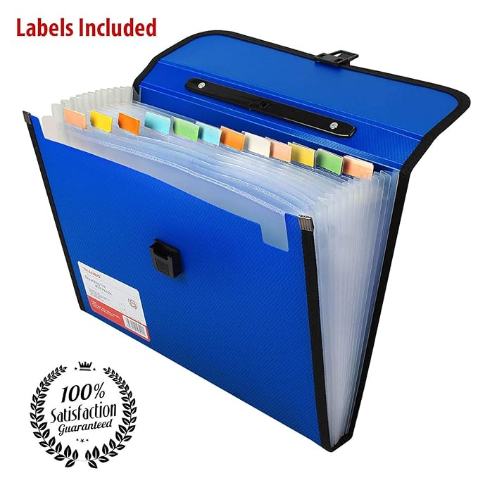 TRANBO Plastic File Folder with 13 Pockets, Handle, Index Tab, A4 Size