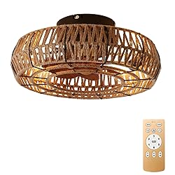 Letmarey 20" Caged Ceiling Fans with Lights and