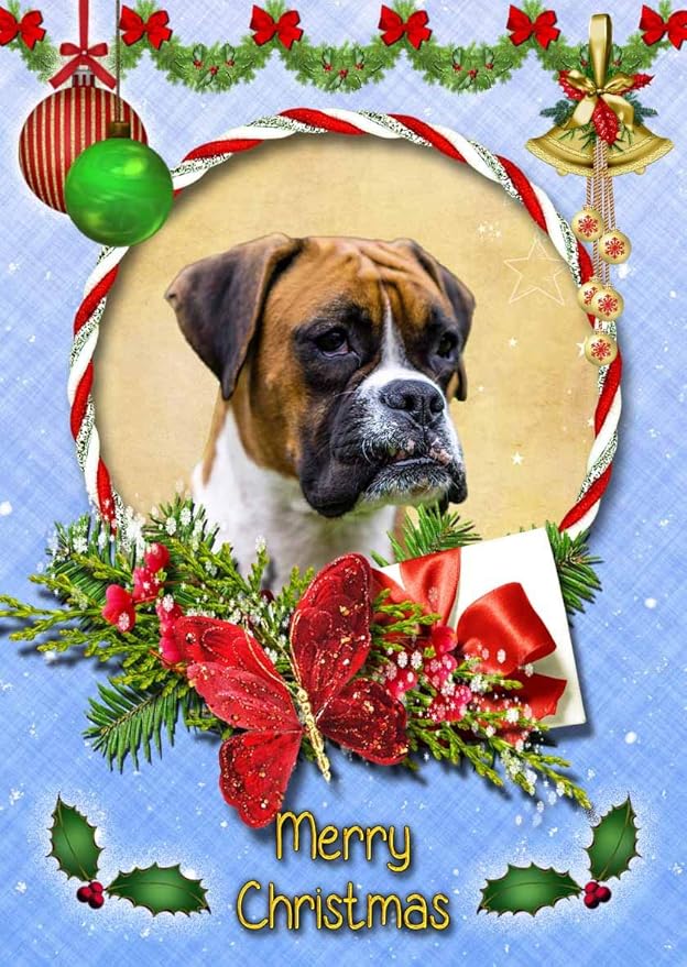 Boxer Dog Christmas Card Blue 'Merry Christmas' Amazon.co.uk Office