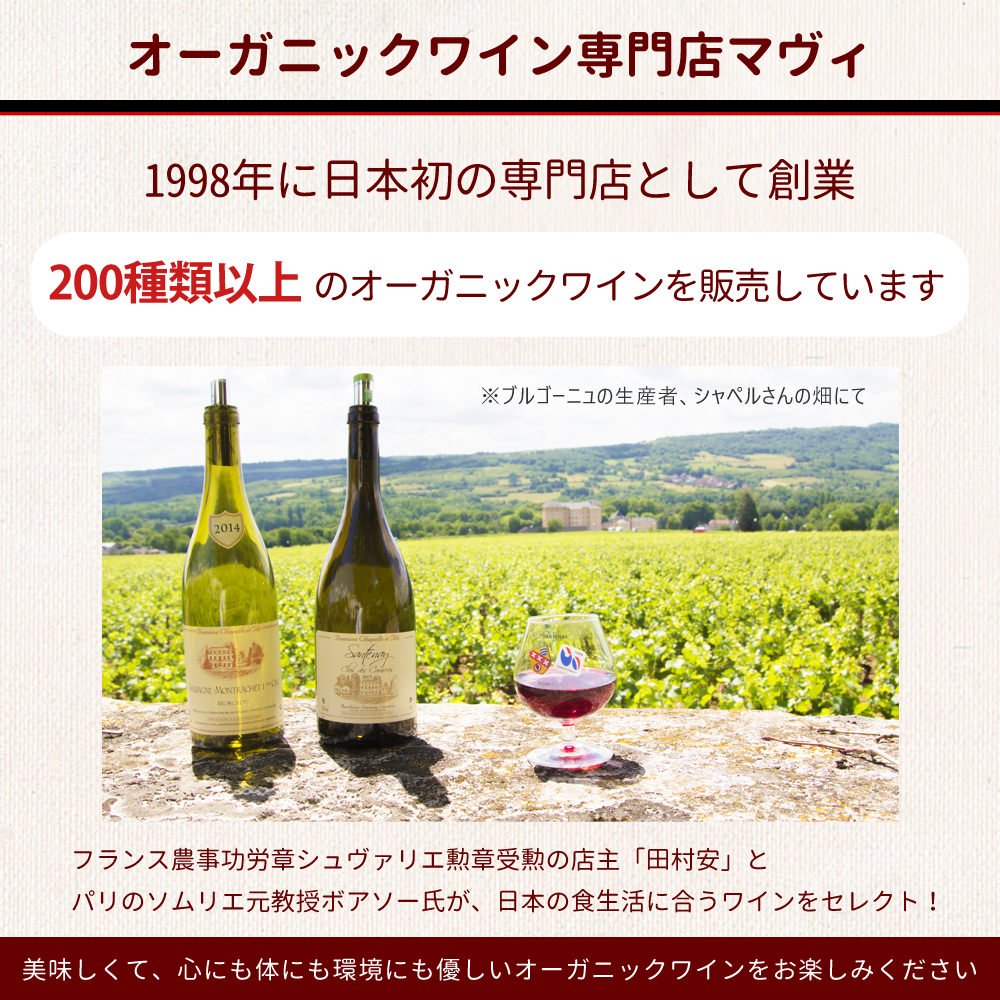 代引き不可 シャンパンスパークリングワイン 発泡 レブルース プルミエクリュ ブランドブラン シャンパーニュ 750ml B07p9pv937 ワイン オーガニック 新作人気モデル Www Aiq Aiq Com Mx