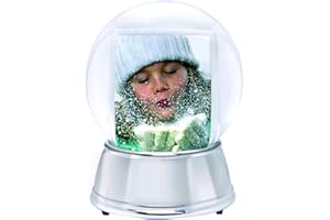 Neil Enterprises Inc. Large LED Light Up Photo Snow Globe w/Silver Base