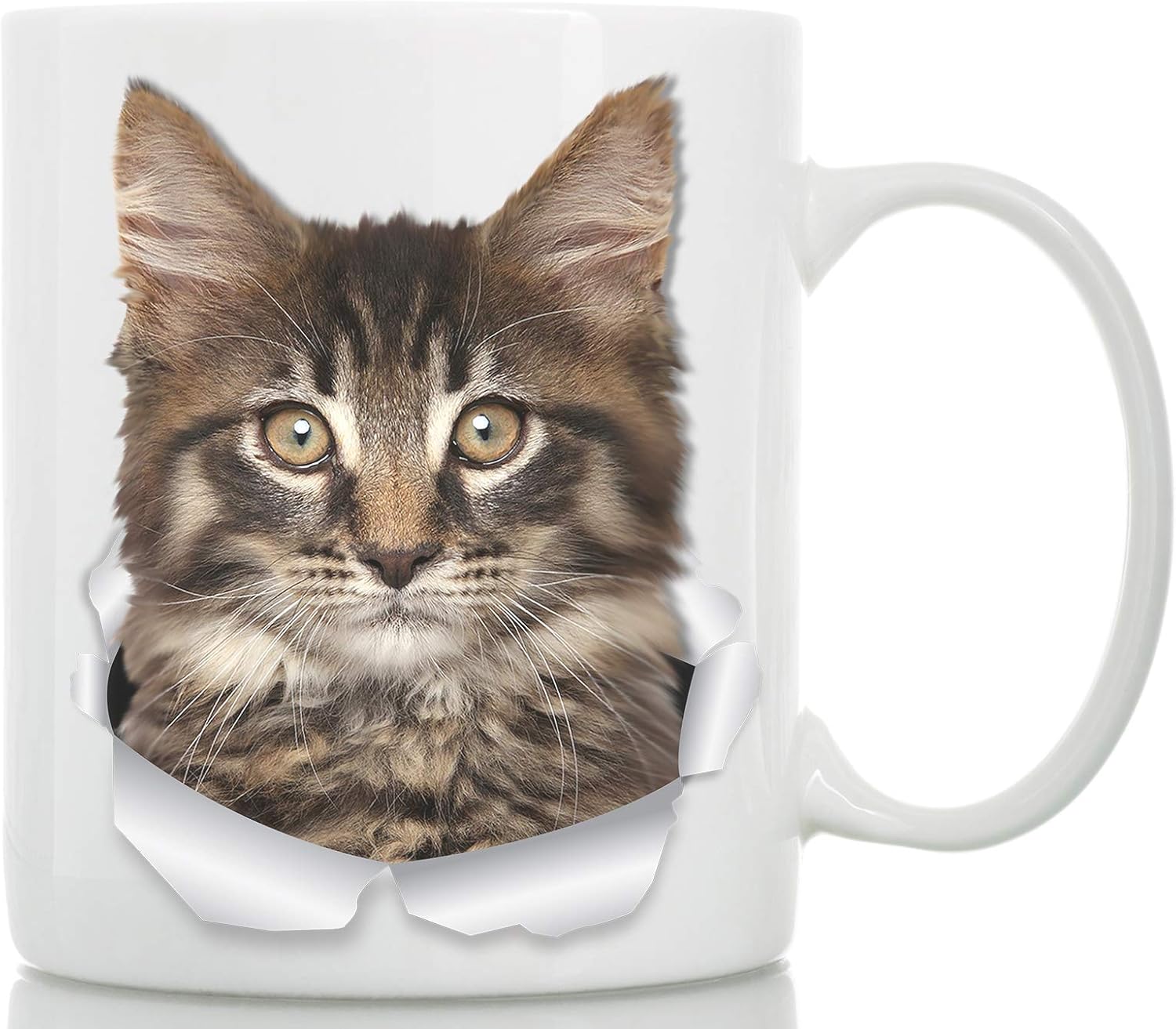 Maine Coon Cat Mug Tabby Maine Coon Kitten Ceramic Coffee