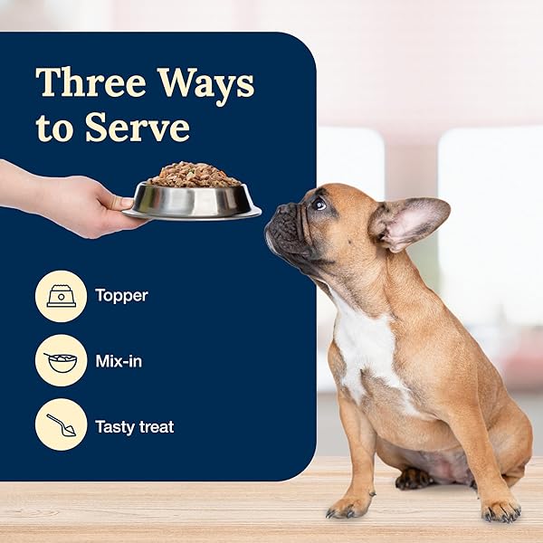 BLUE BUFFALO DELECTABLES NATURAL WET DOG FOOD TOPPERS VARIETY PACK, TASTY CHICKEN & HEARTY BEEF, CUTS IN GRAVY, 3-OZ. (12 POUCHES, 6 OF EACH FLAVOR)