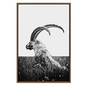 SIGNWIN Framed Canvas Wall Art Black and White...