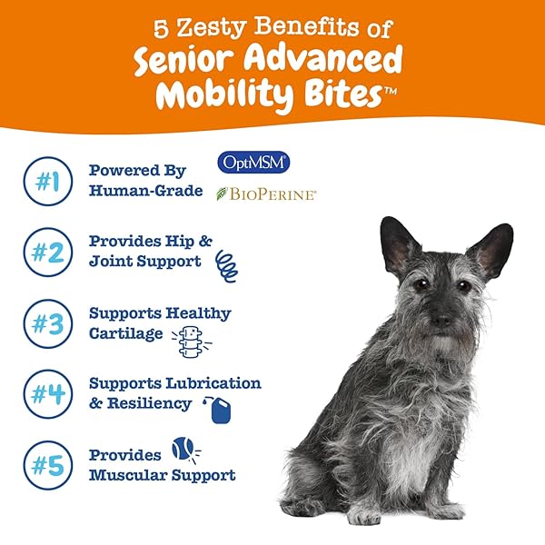ZESTY PAWS MOBILITY BITES JOINT SUPPLEMENT FOR DOGS – SOFT CHEWS WITH GLUCOSAMINE FOR DOGS, CHONDROITIN, & MSM + VITAMINS C AND E – ADV CHICKEN – 90 COUNT