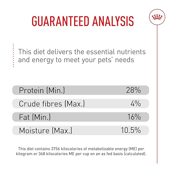 ROYAL CANIN BREED HEALTH NUTRITION CAVALIER KING CHARLES SPANIEL PUPPY DRY DOG FOOD, 3 LB BAG