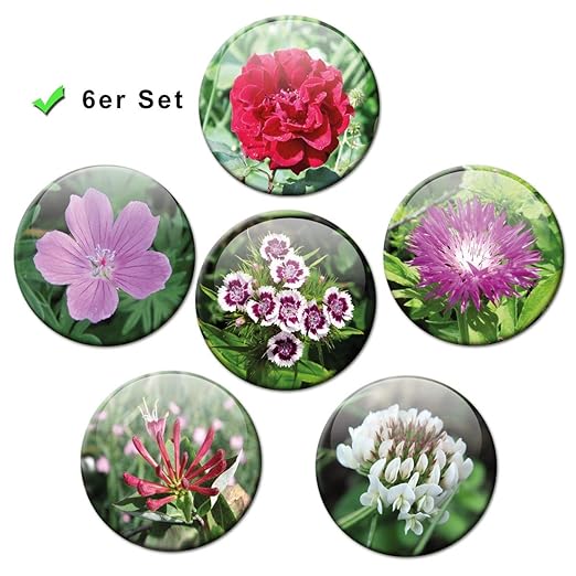 Flor mágica - Encantador Imanes Juego de 6 5 cm de diámetro ...