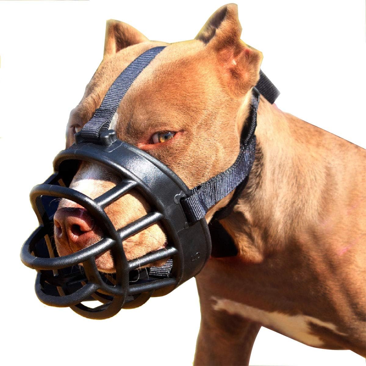soft dog muzzle amazon