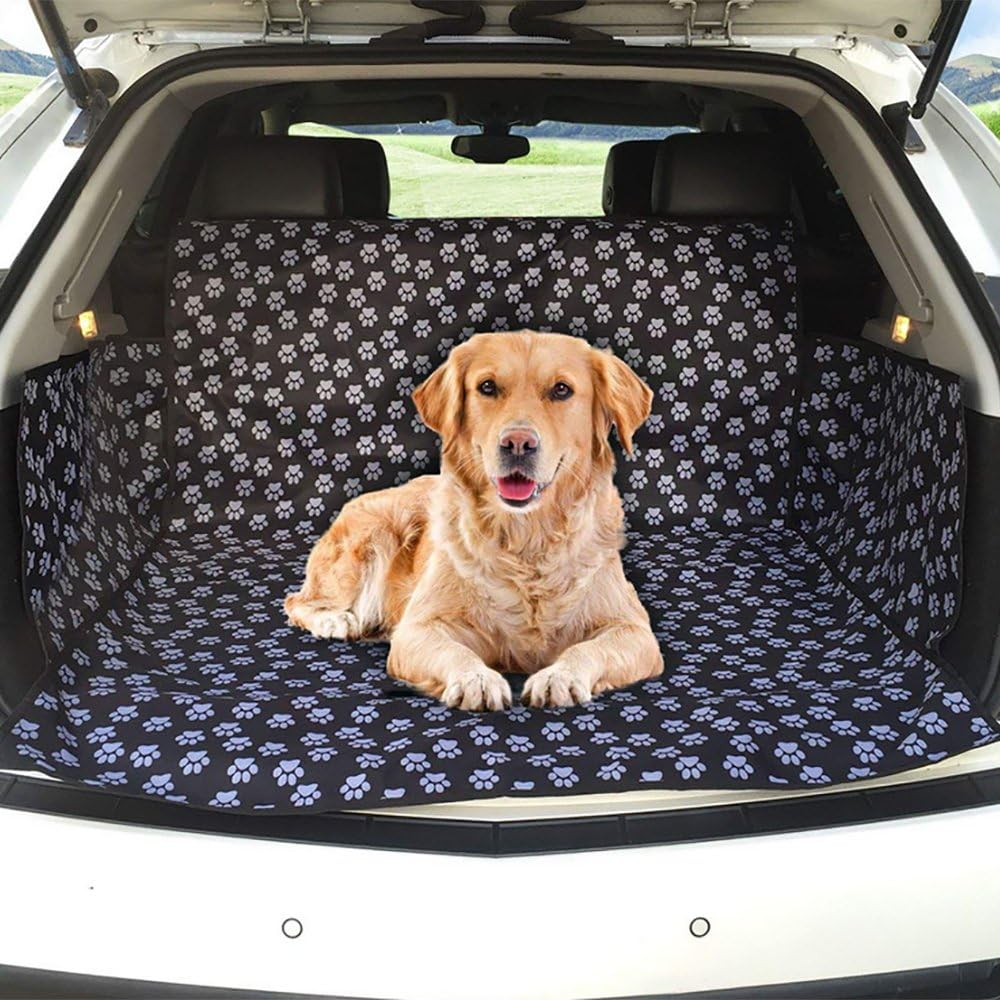 should i get a male or female rabbit