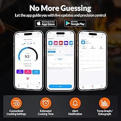 Wireless Bluetooth Meat Thermometer, Standalone