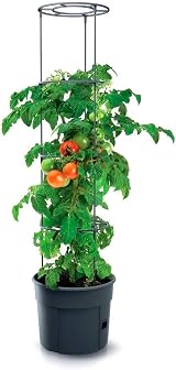 Prosperplast Tomato Grower Plastic Planter Anthracite 29.5x23.6-115.2cm view 3
