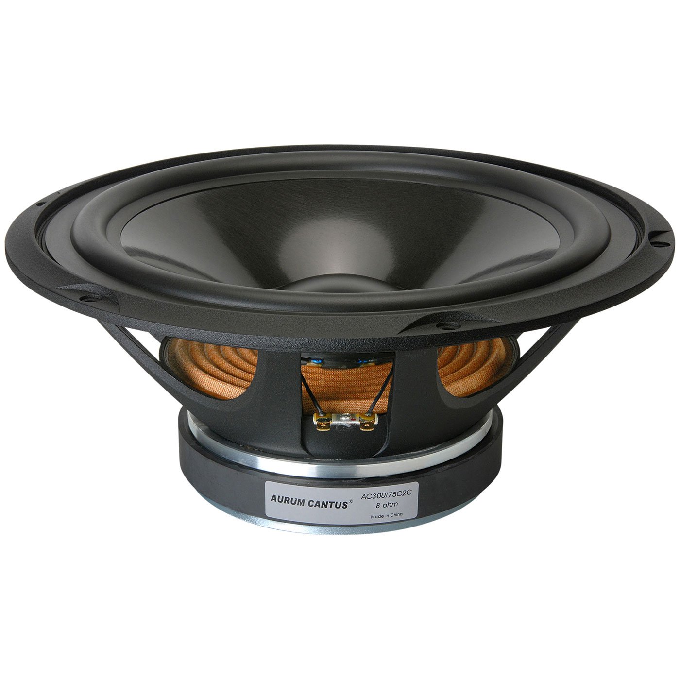 aurum cantus speakers for sale