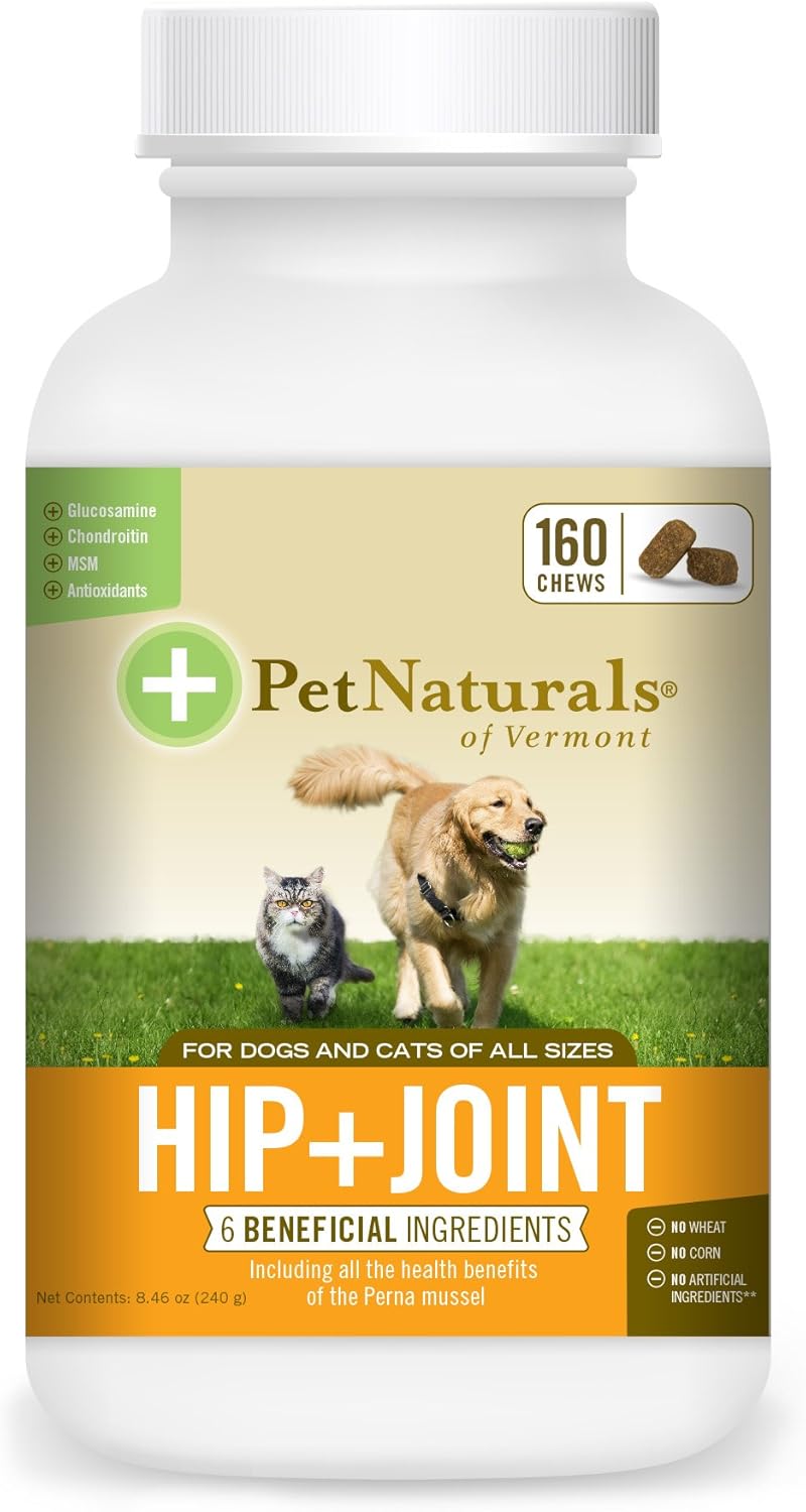 Pet Naturals of Vermont - Hip + Joint for Dogs and Cats, 160 Bite-Sized Chews : Pet Supplies
