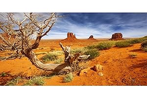 AWERT 36x18 inches Reptile Habitat Background Orange Desert Terrarium Background Durable Polyester Background