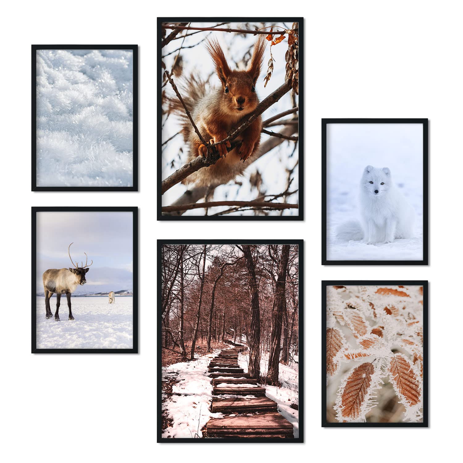 Nacnic - 6 sets of photography Prints Animals and Snow - Modern decorative Prints for home wall, room, collage, mural - A3 and A4 - Unframed