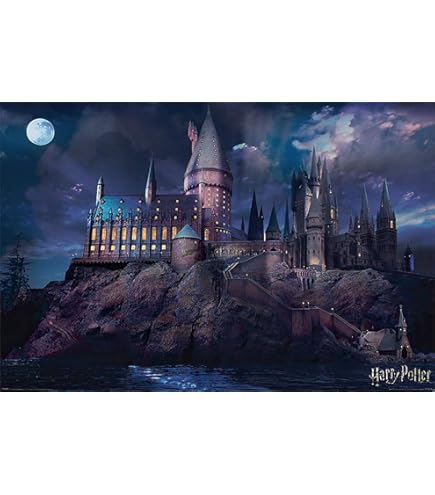 Amazon.com: ABYSTYLE - Harry Potter Hogwarts Castle Film