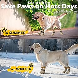 EXPAWLORER Anti Slip Dog Socks to Prevent Licking