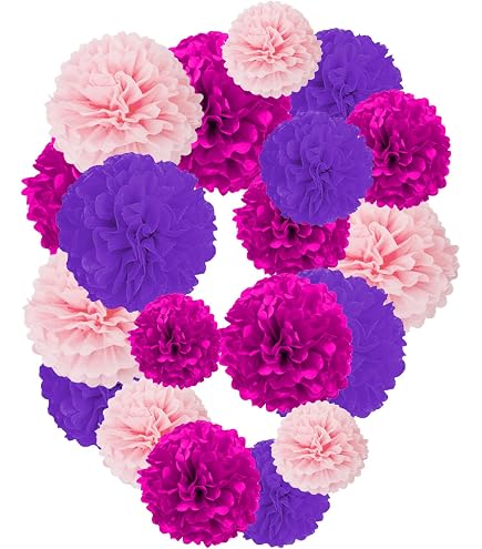 Ruidee Lot de 12 pompons en papier de soie à suspendre - 25,4 cm et 30,5 cm - Décoration de fête et de mariage - ZH/rose