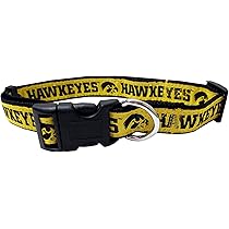 iowa hawkeye dog collar