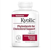 Kyolic Age Phytosterols for Cholesterol Support* Formula 107, 240 Capsules | Phytosterols with Odorless Aged Garlic Extract to Support Healthy Cholesterol and Cardiovascular Wellness, GMO-Free