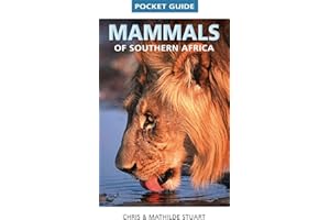 Pocket Guide: Mammals of Southern Africa (Struik Nature)