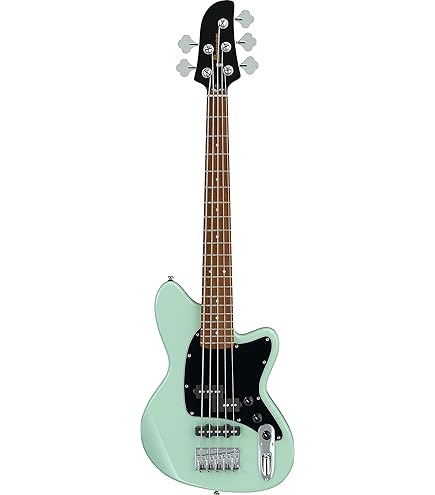 Amazon.com: Ibanez TMB30 Talman Standard - Mint Green : Musical