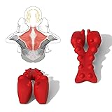 LittleMum Trapezius Trigger Point