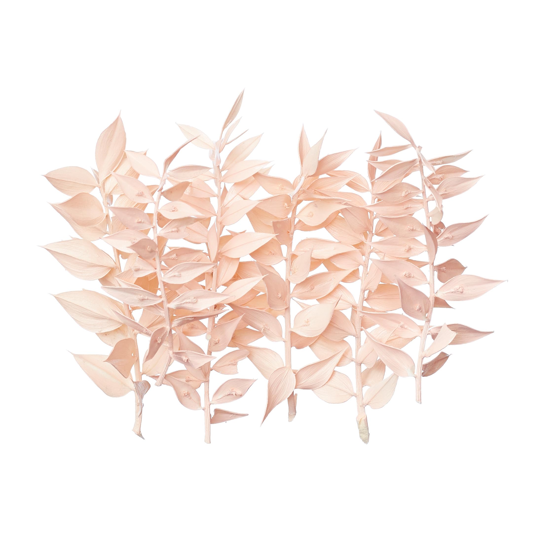 The Baked Studio - Original Dried Flower Ruscus Set For Cake & Cupcake Decorating & Others Crafts (Light Pink)