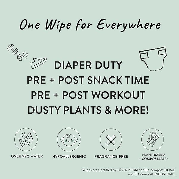 THE HONEST COMPANY CLEAN CONSCIOUS MULTI-USE WIPES | HYPOALLERGENIC + UNSCENTED FOR SENSITIVE SKIN | OVER 99% WATER, COMPOSTABLE, PLANT BASED, BABY WIPES | ROSE BLOSSOM, 288 COUNT