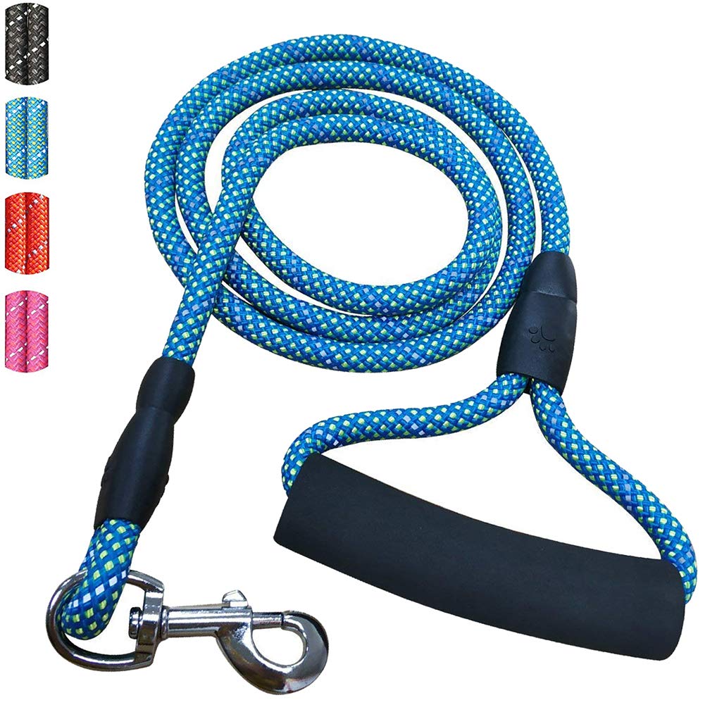 Dog Leash,Sturdy Nylon Dog Leash with Comfortable Padded Handle Reflective Leash for Night Safety.4/6ft Long - Perfect Leashes For for Small Medium Large Dogs (6 feet, Light Blue)