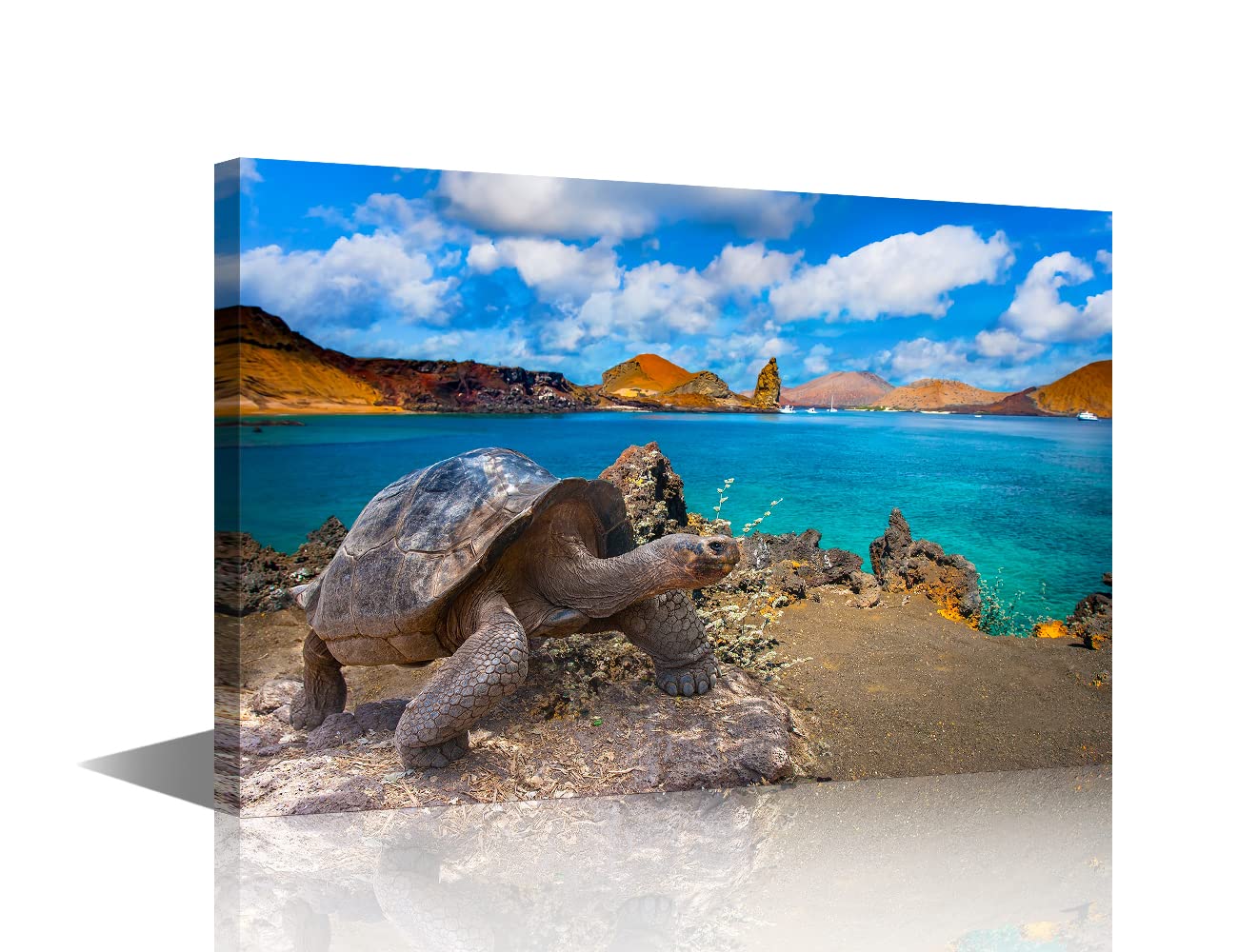 Canvas Wall Art Wall Décor for Living Room Galapagos Islands Big turtle Canvas Painting for Bathroom Bedroom Kitchen Office Decor Home Decorations 16x24inch — image 1